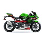 Decal Kawasaki ZX25R KRT Wakanda