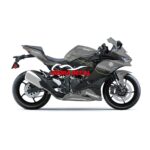 Decal Kawasaki ZX25R Winter test 2023