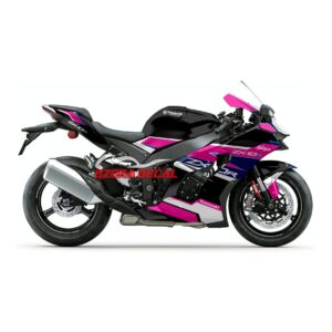 Decal Kawasaki ZX10R